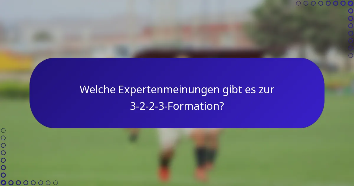 Welche Expertenmeinungen gibt es zur 3-2-2-3-Formation?